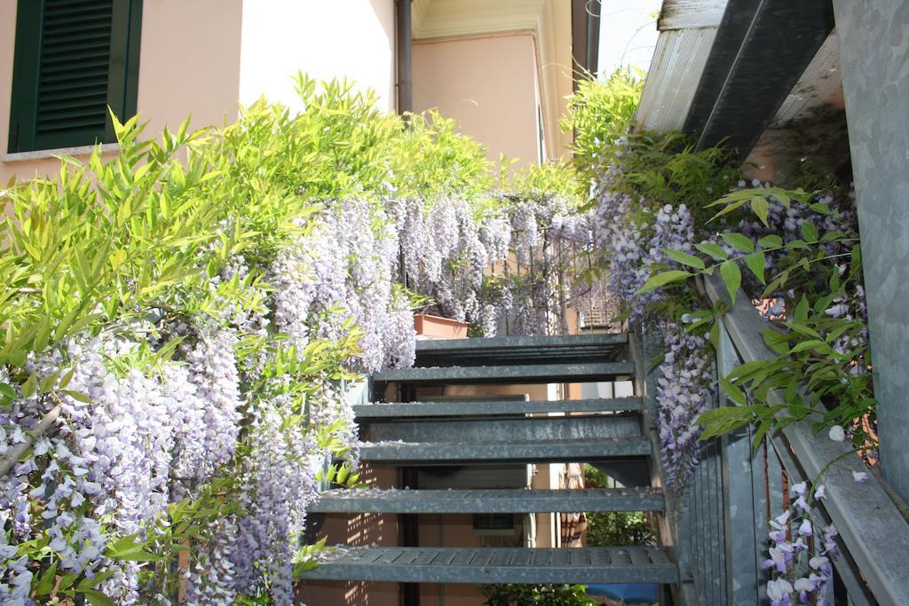 Hotel Villa Grazia Cesenatico Eksteriør billede